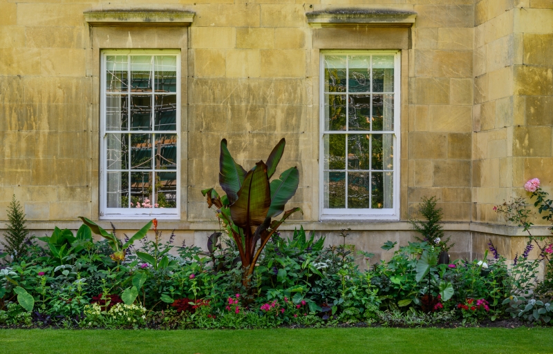 King's College Fellows' Garden and Provost's Garden